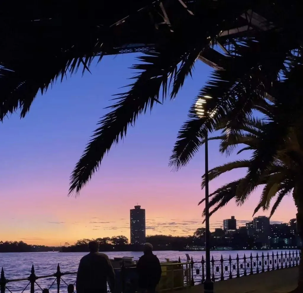 海边步道的黄昏，棕榈叶在画面上方连成剪影，天空从橙黄过渡到紫蓝，对岸是亮着灯的城市楼群，栏杆边有两个看海的人的背影